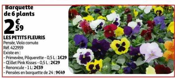 les petits fleuris