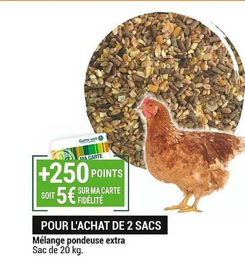 mélange pondeuse extra