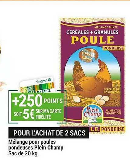mélange pour poules pondeuses plein champ