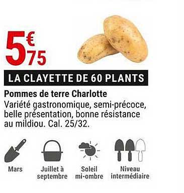 pommes de terre charlotte