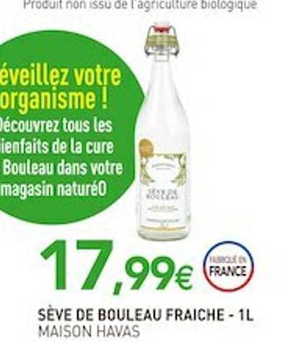 sève de bouleau fraiche maison havas