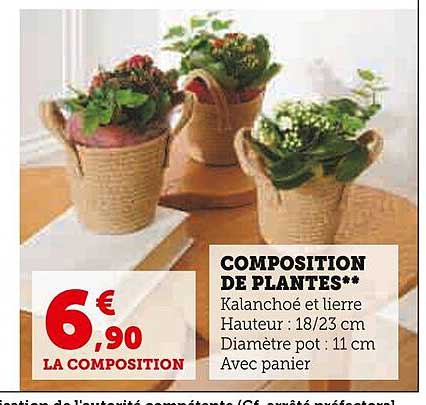 Composition De Plantes