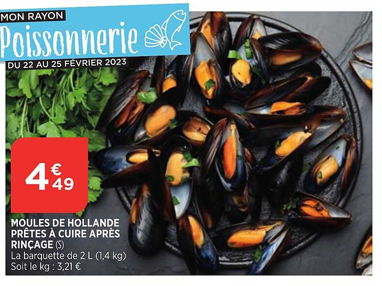 moules de hollande prêtes à cuire après rinçage