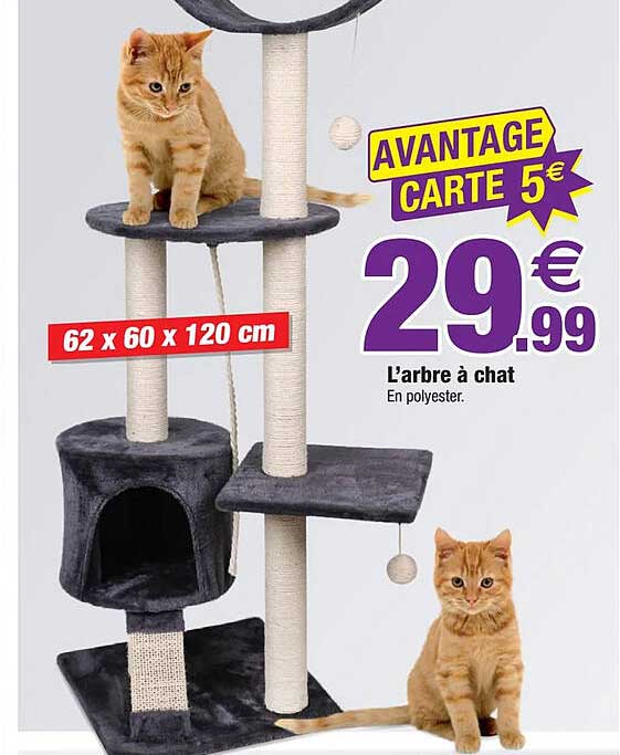 l'arbre à chat