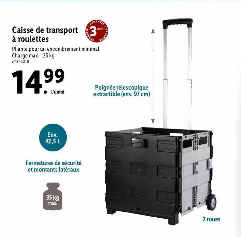 Caisse De Transport à Roulettes