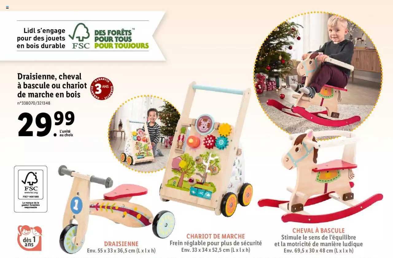 Draisienne, Cheval à Basculer Ou Chariot De Marche En Bois