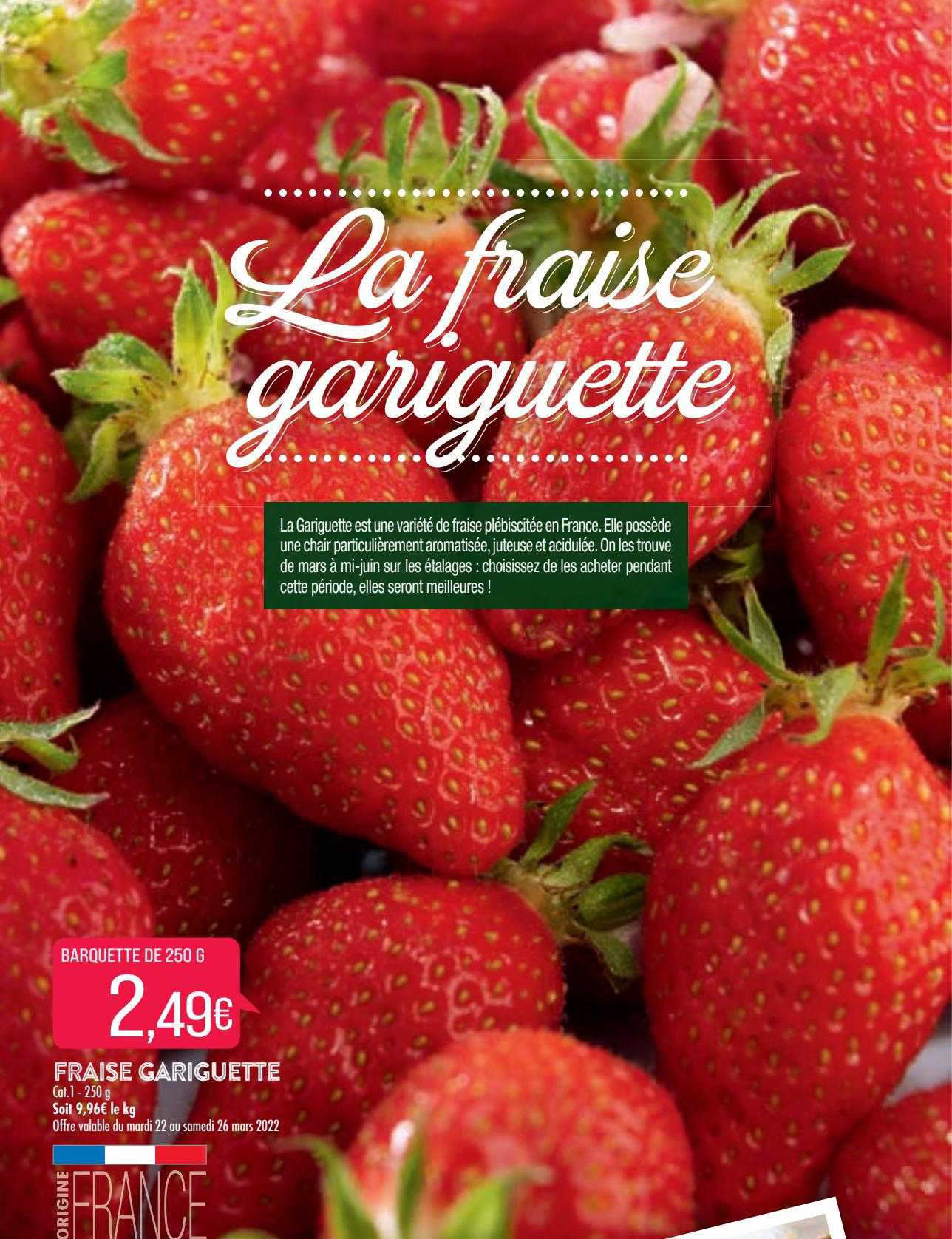 fraise gariguette