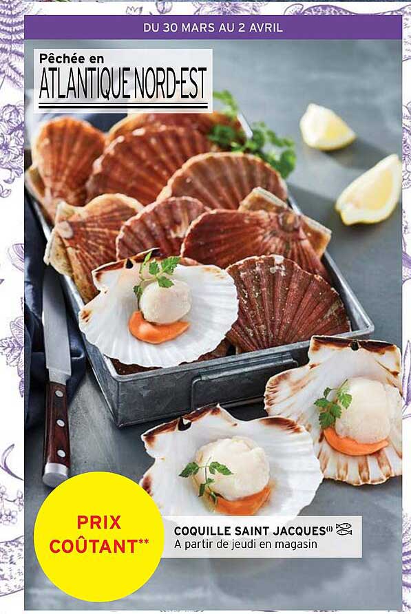 coquille saint jacques