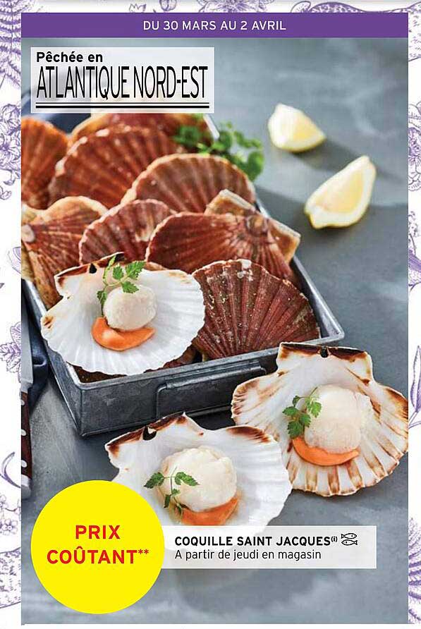 coquille saint jacques