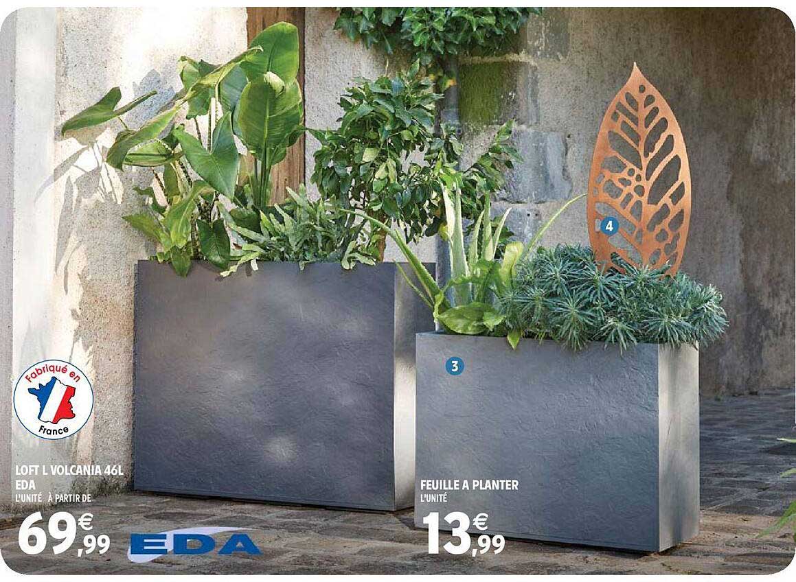 loft l volcania 46l eda, feuille à planter