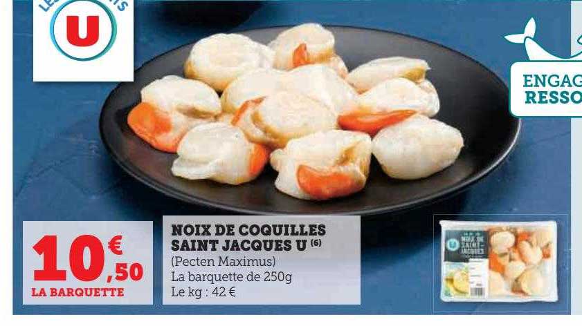 noix de coquilles saint jacques u