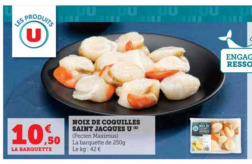 noix de coquilles saint jacques u