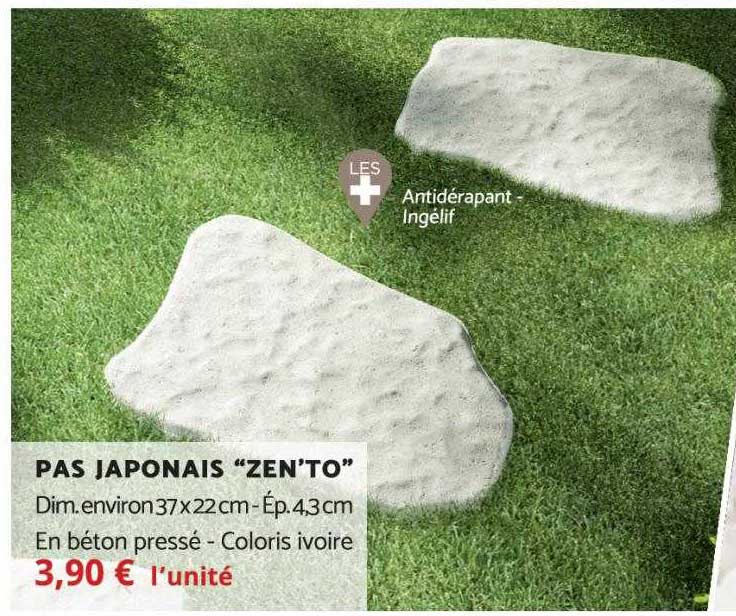 pas japonais "zen'to"