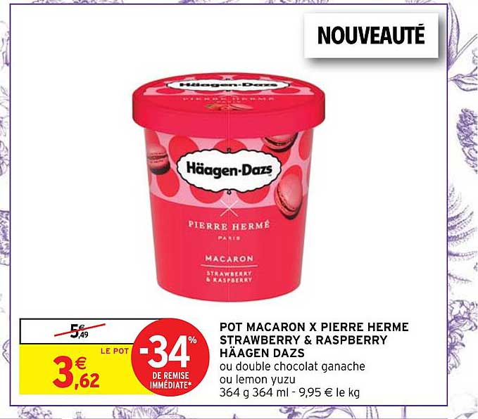 pot macaron x pierre herme strawberry & raspberry häagen dazs