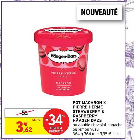 pot macaron x pierre herme strawberry & raspberry häagen dazs