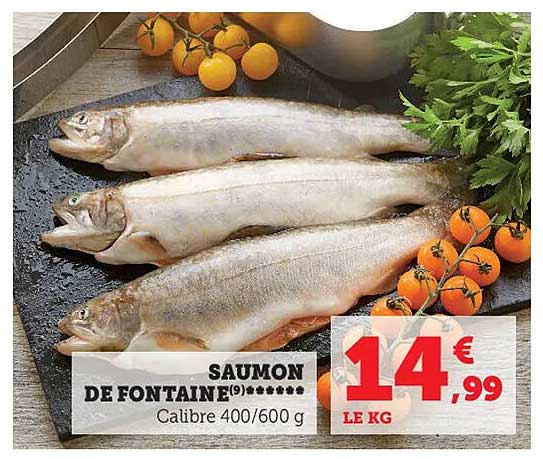 Saumon De Fontaine
