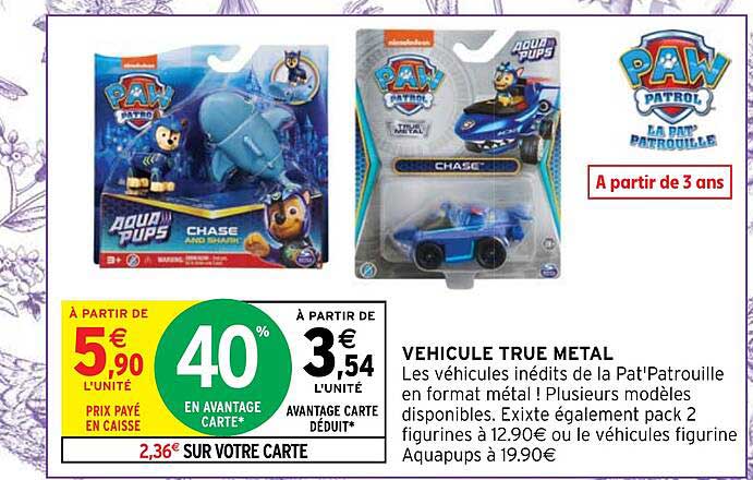 véhicule true métal paw patrol
