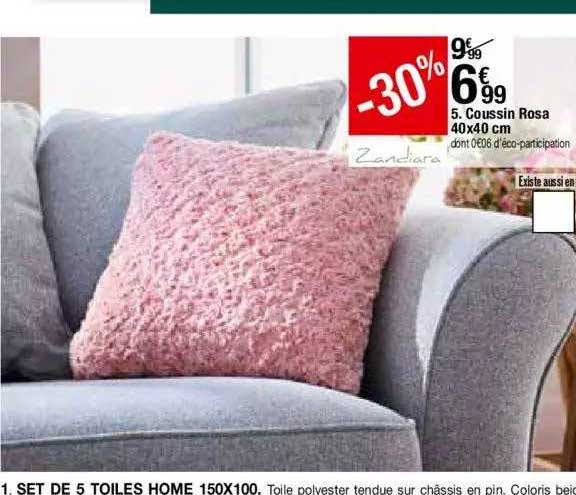 Coussin Rosa 40 X 40 Cm