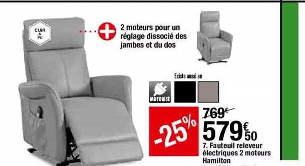 fauteuil releveur électriques 2 moteurs hamilton