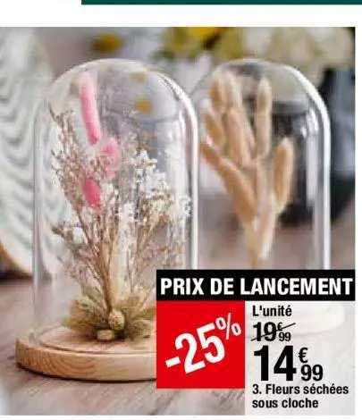 Fleurs Séchées Sous Cloche
