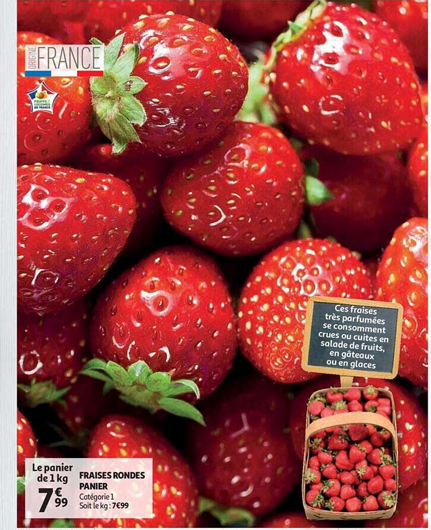 Fraise Rondes Panier