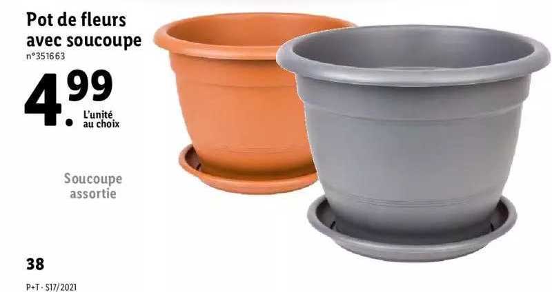 pot de fleurs avec soucoupe