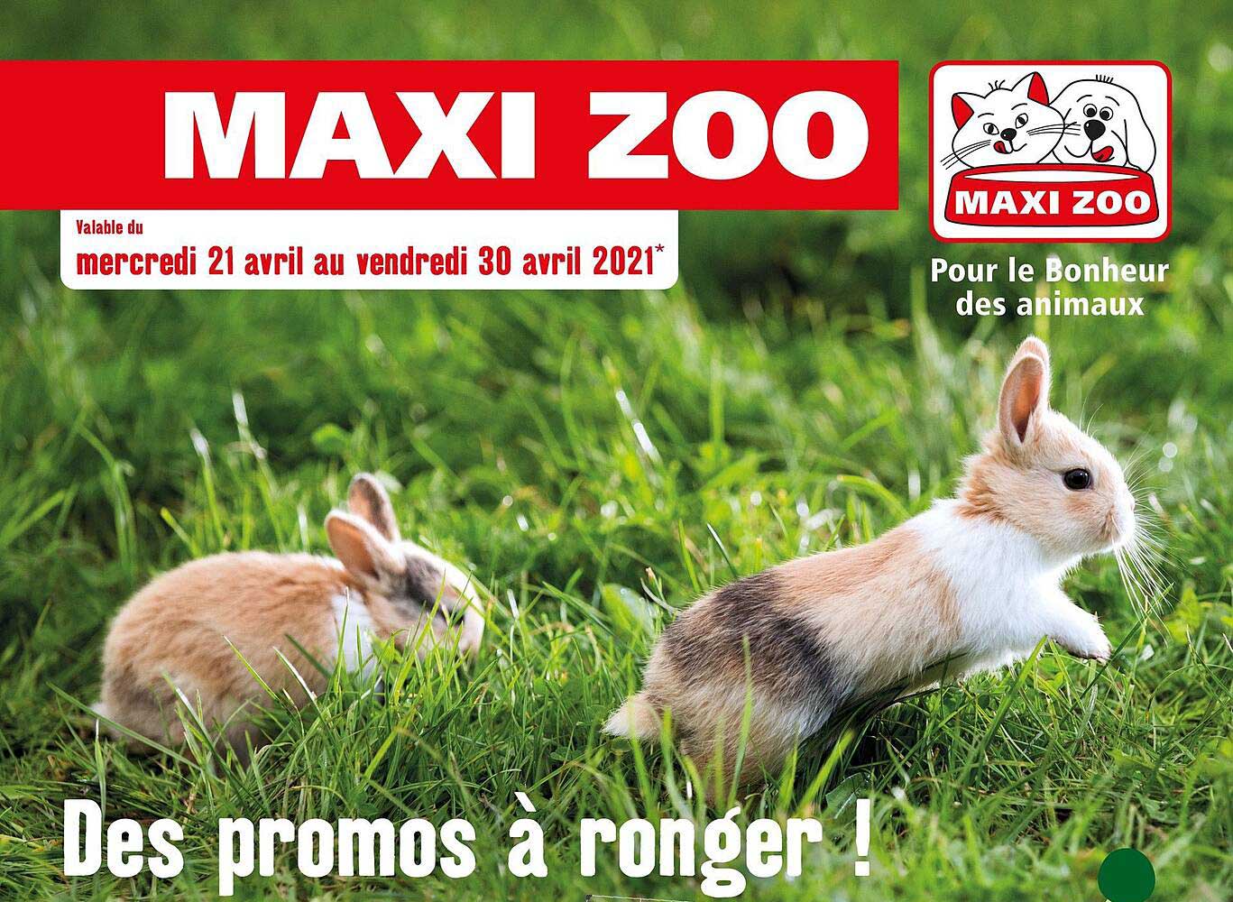 Pour Le Bonheur Des Animaux