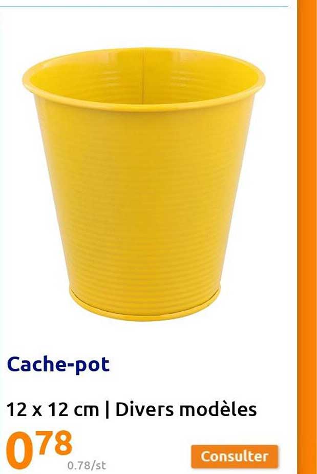 cache-pot