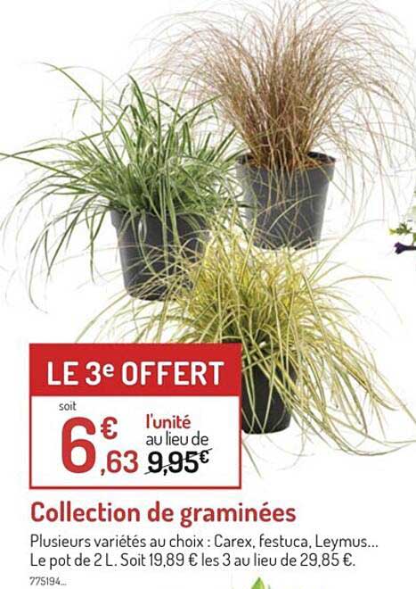 collection de graminées