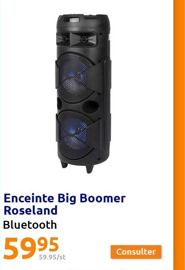 enceinte big bommer roseland