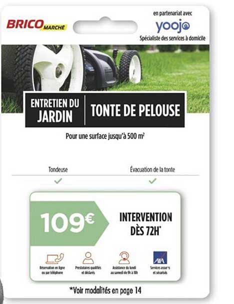 Entretien Du Jardin, Tonte De Pelouse