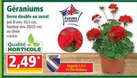 géraniums lierre double ou zonal