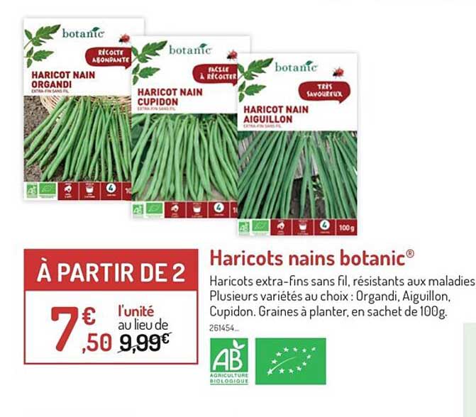 haricot nains botanic