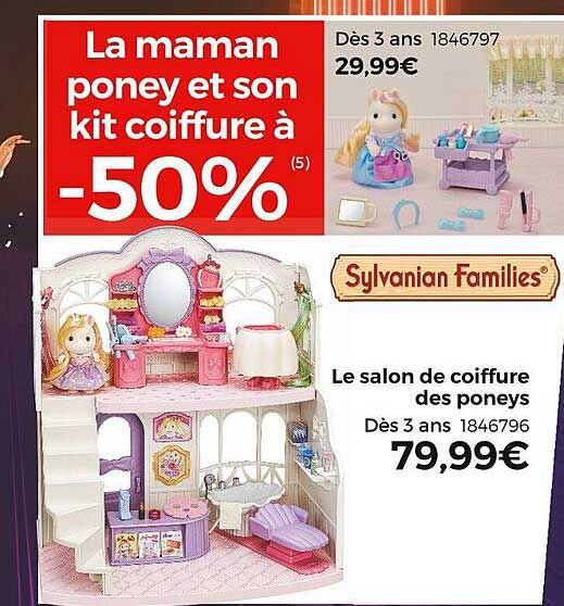 Le Salon De Coiffure Des Poneys