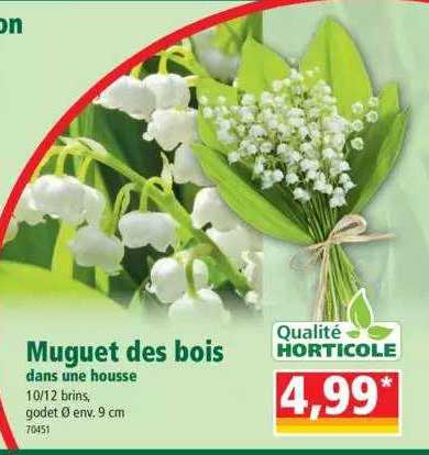 muguet des bois dans une housse