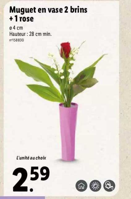 muguet en vase 2 brins + 1 rose