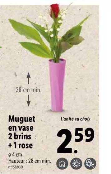 muguet en vase 2 brins + 1 rose