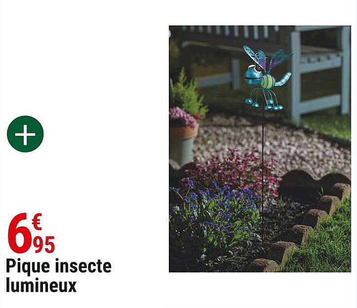 pique insecte lumineux