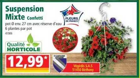 suspension mixte confetti