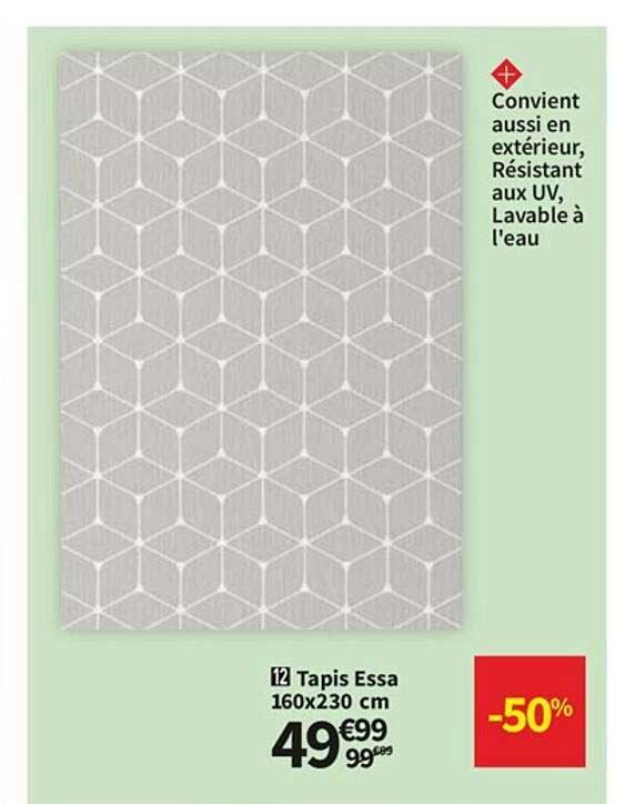 tapis essa 160 x 230 cm