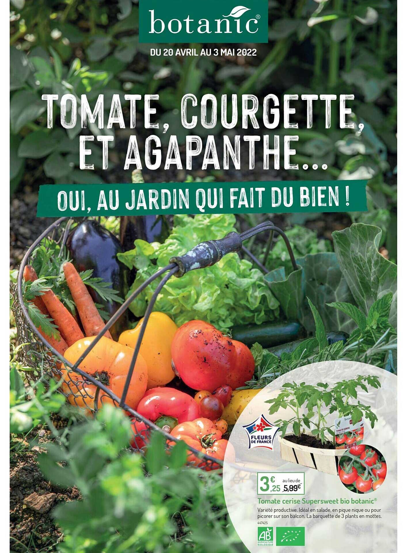 Tomate Cerise Super Sweet Bio Botanic