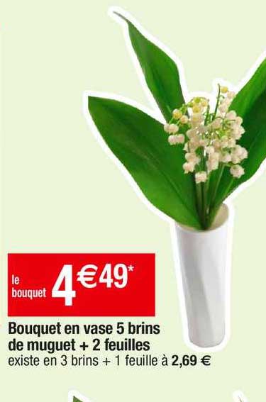 bouquet en vase 5 bruns de muguet + 2 feuilles