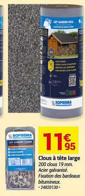 clous à tête large soprema