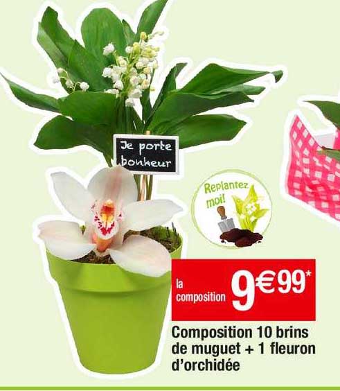 composition 10 brins de muguet + 1 fleuron d'orchidée