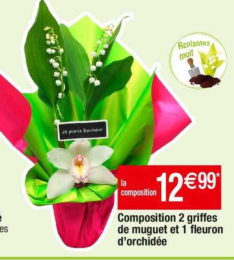 composition 2 griffes de muguet et 1 fleuron d'orchidée