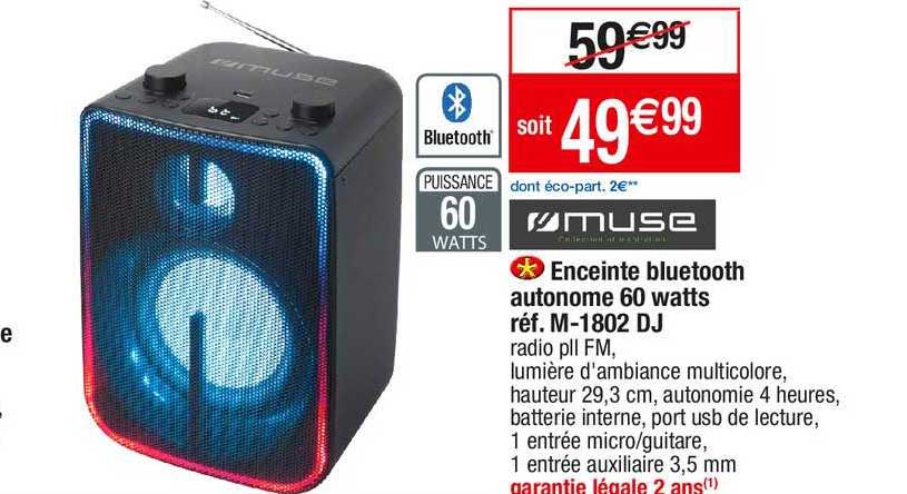 enceinte bluetooth autonome 60 watts muse