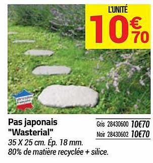 pas japonais "wasterial"