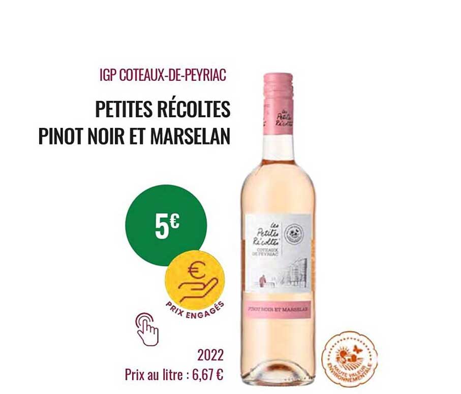 petites récoltes pinot noir et marselan 2022