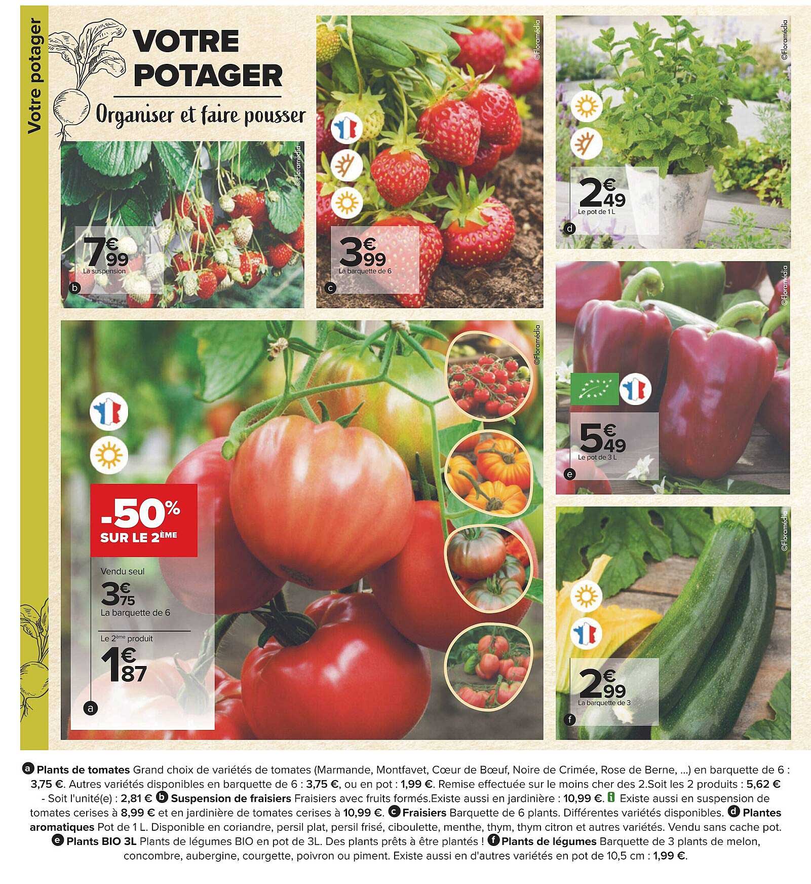 plants de tomates, suspension de fraisiers, fraisiers, plantes aromatiques, plants bio 3 l, plants de légumes