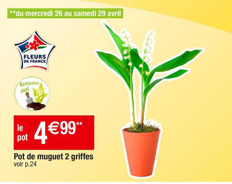 Pot De Muguet 2 Griffes